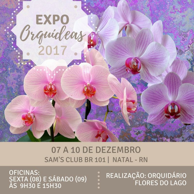 Arte Expo orquideas