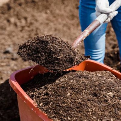 Curso de Compostagem Secretaria de Meio Ambiente de Caicó