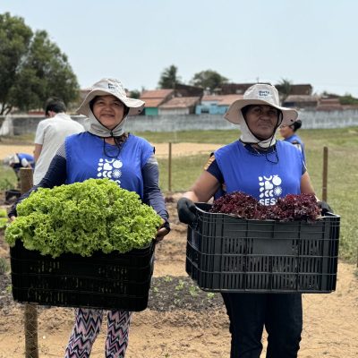 Horta ao Sesc Mesa Brasil (8)