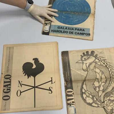 A biblioteca abriga uma das coleções mais significativas de periódicos potiguares. Foto: Wallacy Medeiros