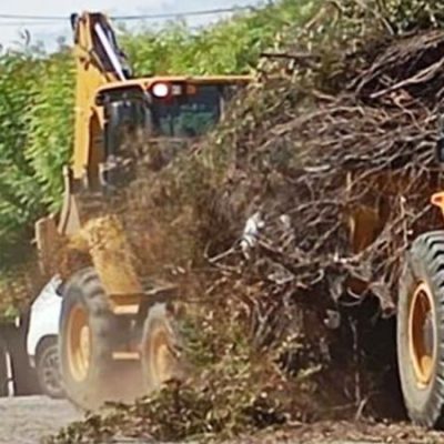 Mutirão de Limpeza - Caicó Limpa