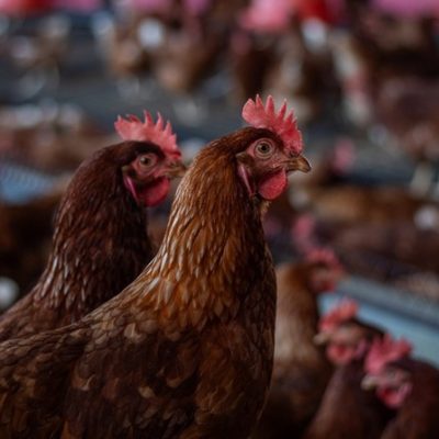 WhatsApp Image 2025-08-14 at 12.08.25