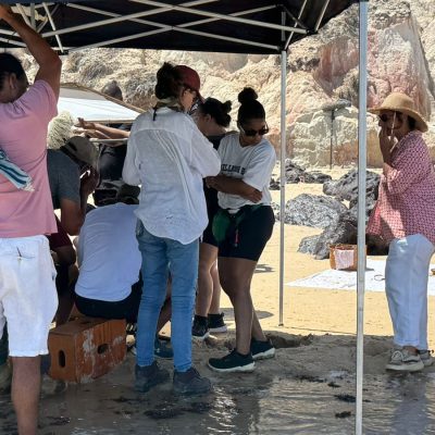 WhatsApp Image 2026-03-18 at 19.31.09