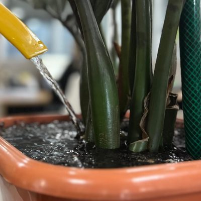 d2ae8fd6-5989-4842-b027-4b9182b02613